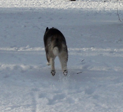 Flying, December 2008