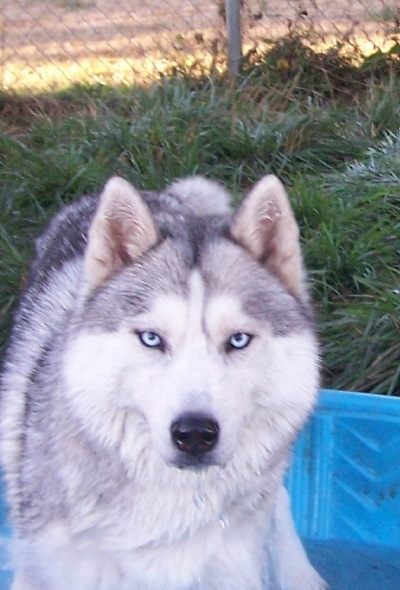 8/09, Twinkle loves water!