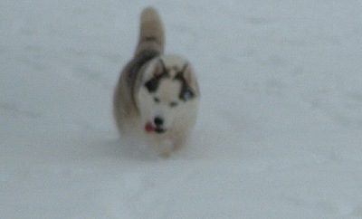 Enjoying the snow.